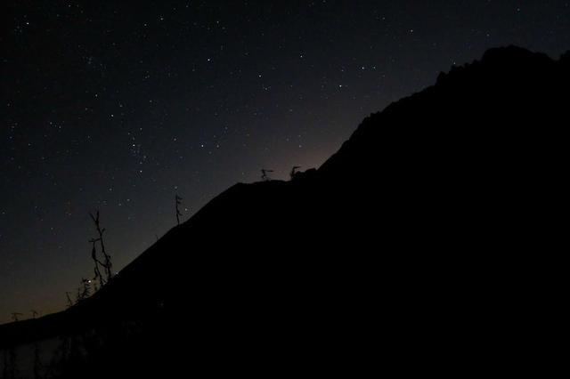 中国移动12月移动业务净增客户5.2万户