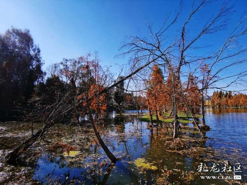 因需求增加 礼来(LLY.US)12.5mg剂量减肥药Mounjaro将在2月前限量供应