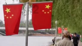 为什么网络小说作者都不被承认是作家游戏画面