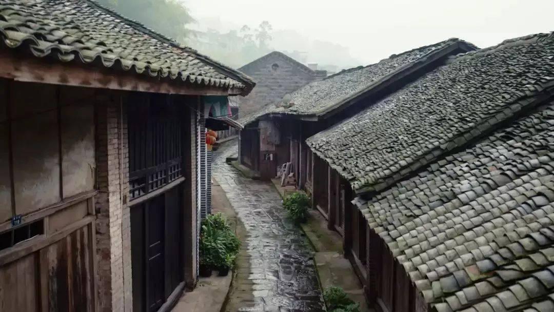 最美的校园女生73